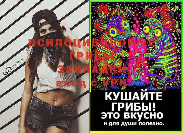 шишки Усолье-Сибирское