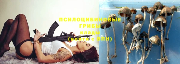 стафф Алексин